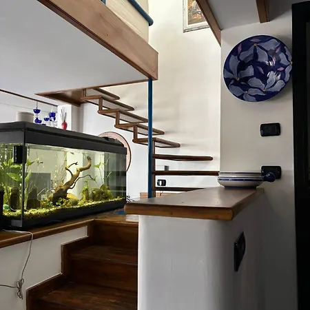 The Dreamer's Terrace