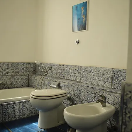 The Dreamer's Terrace 维克艾库塞