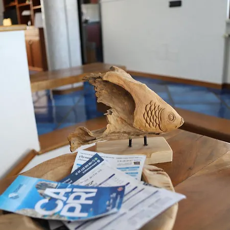 The Dreamer's Terrace