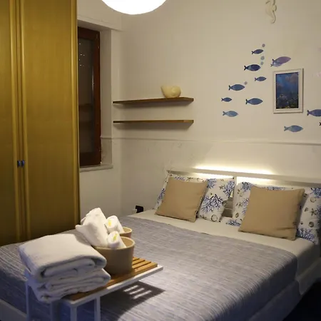 The Dreamer's Terrace