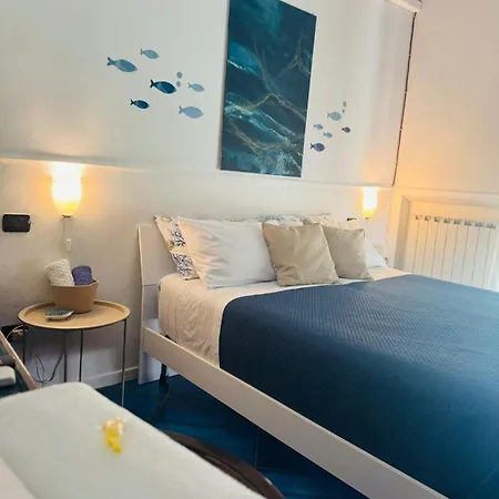 The Dreamer's Terrace 维克艾库塞