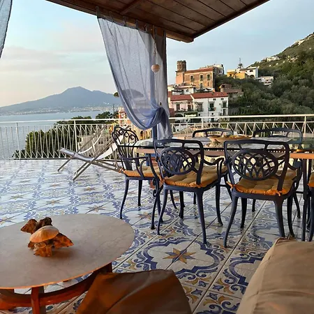 The Dreamer's Terrace 维克艾库塞