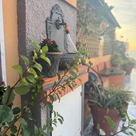 The Dreamer's Terrace *